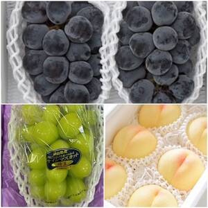 【発送月固定定期便】岡山県産  フルーツ定期便全3回【配送不可地域：離島・北海道・沖縄県】【4079588】