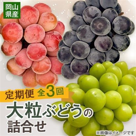 【発送月固定定期便】10月~12月 大粒ぶどうの詰め合わせ全3回【4081536】