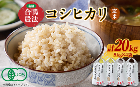 3006.【新米】令和6年産有機愛ガモ米5kg×4袋 計20Kg(玄米コシヒカリ 有機うるち玄米)【1489815】