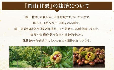 岡山甘栗・15パック詰合せ ギフト【010-a012】