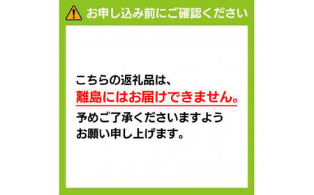 大原観光果樹園 ピオーネ2房とシャインマスカット2房（計4房） 約2kg【026-a007】