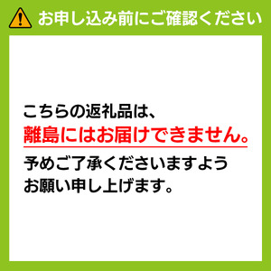 大原観光果樹園 シャインマスカット 約1.2kg 2房【026-a001】