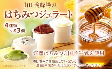 はちみつジェラート12個入 （26590）【006-a050】