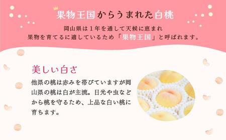 ももこのほっぺ4個入【021-a016】