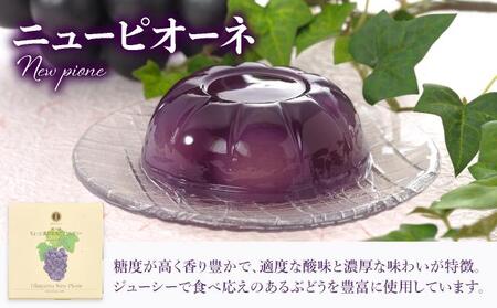 ちょっと贅沢な実だくさんゼリー9個入【021-a018】