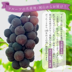 <2026年発送分 先行予約>ピオーネ 1.2kg以上(2〜3房)