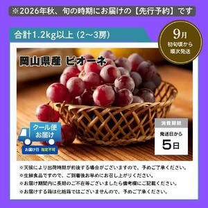 <2026年発送分 先行予約>ピオーネ 1.2kg以上(2〜3房)