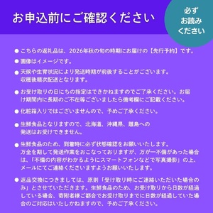 <2026年発送分 先行予約>ピオーネ 1.2kg以上(2〜3房)