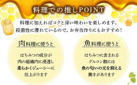 山田養蜂場　里山の百花蜂蜜300g（プラ容器入）×2本 （64231）【006-a065】