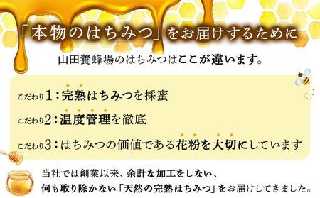 山田養蜂場　里山の百花蜂蜜300g（プラ容器入）×2本 （64231）【006-a065】