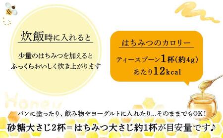 山田養蜂場　里山の百花蜂蜜300g（プラ容器入）×3本 （64253）【006-a066】