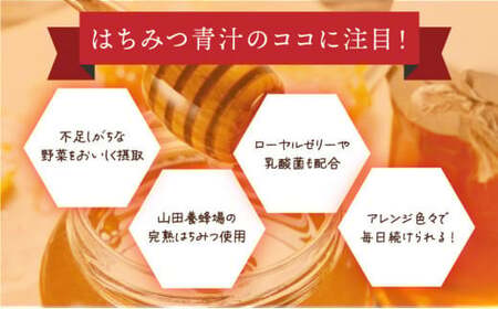 山田養蜂場はちみつ青汁1箱30包入り×2箱（64312）【006-a071】