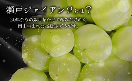 ＜2025年発送分 先行予約＞梅村ファーム 朝摘み直送 瀬戸ジャイアンツ（2房入り 1.1kg以上）【030-a012】