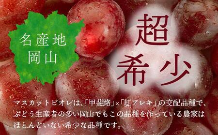 ＜2026年発送分 先行予約＞10月～11月発送お土産マスカットビオレ2kg箱【029-a010】