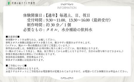 ウランガラスの吹きガラス体験【1名様】【028-a014】