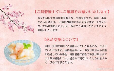 【2026年先行予約】［拝郷果樹園］岡山県産 清水白桃 約2kg（6玉～9玉）