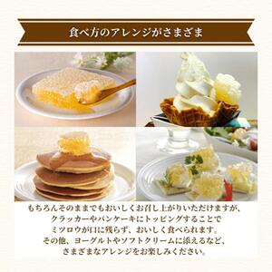 巣蜜(ハンガリー産)200g（4216）【006-a084】