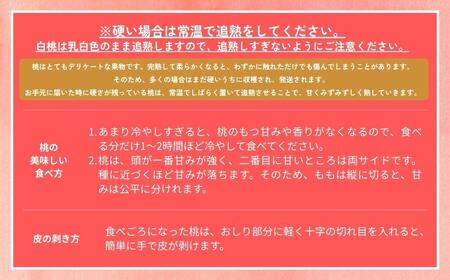 ＜数量限定＞［なんばふぁーむ］岡山県産 旬の桃 4.0kg（11～14玉）［ご家庭用］【2026年発送】