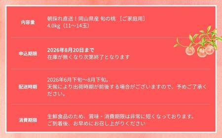 ＜数量限定＞［なんばふぁーむ］岡山県産 旬の桃 4.0kg（11～14玉）［ご家庭用］【2026年発送】