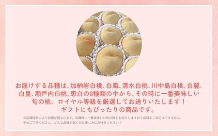 ＜数量限定＞［なんばふぁーむ］岡山県産 旬の桃 1.5kg（4～6玉）[ギフト用]【2026年発送】039-a003