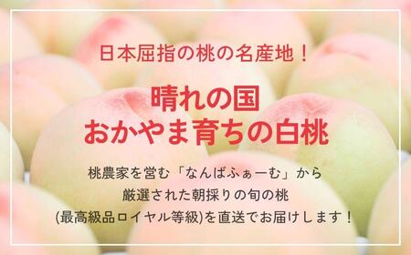 ＜数量限定＞［なんばふぁーむ］岡山県産 旬の桃 2.0kg（5～9玉）[ギフト用]【2026年発送】039-a004