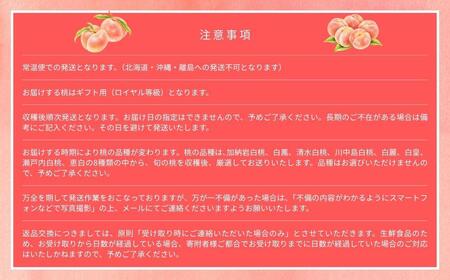 ＜数量限定＞［なんばふぁーむ］岡山県産 旬の桃 3.0kg（9～13玉）[ギフト用]【2026年発送】039-a005