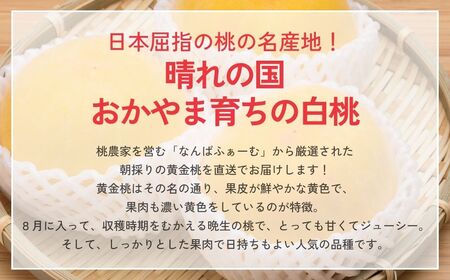 【2026年先行予約】［なんばふぁーむ］岡山県産 黄金桃 2.0kg（5〜9玉）［ご家庭用］039-a006