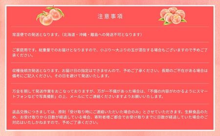 【2026年先行予約】［なんばふぁーむ］岡山県産 黄金桃 2.0kg（5〜9玉）［ご家庭用］039-a006