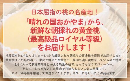 【2026年先行予約】［なんばふぁーむ］岡山県産 黄金桃 3.0kg（9〜13玉）[ギフト用]