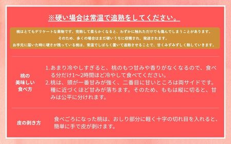【2026年先行予約】［なんばふぁーむ］岡山県産 黄金桃 3.0kg（9〜13玉）[ギフト用]