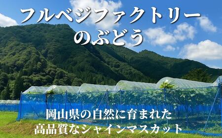 【2026年先行予約】［加温］岡山県産シャインマスカット 700g（１房入）