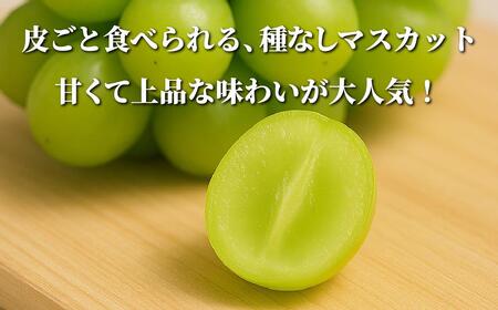 【2026年先行予約】［露地］岡山県産シャインマスカット 1.4kg（２房入）