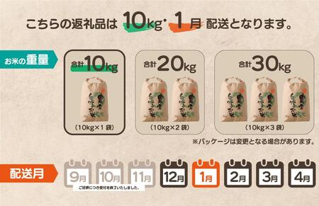 【先行予約】令和7年産 鏡野町産 きぬむすめ 精米10kg（10kg×1袋）［2026年1月発送］【035-a004-01】