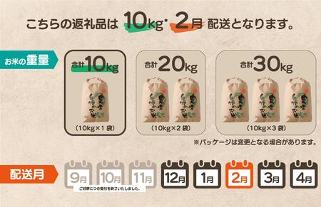 【先行予約】令和7年産 鏡野町産 きぬむすめ 精米10kg（10kg×1袋）［2026年2月発送］【035-a004-02】