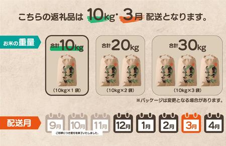 【先行予約】令和7年産 鏡野町産 きぬむすめ 精米10kg（10kg×1袋）［2026年3月発送］【035-a004-03】