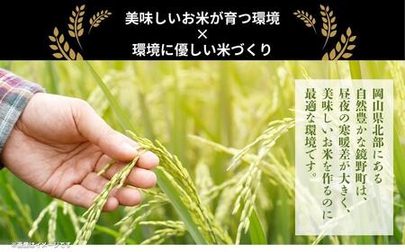 【先行予約】令和7年産 鏡野町産 きぬむすめ 精米20kg（10kg×2袋）［2025年12月発送］【035-a005-12】