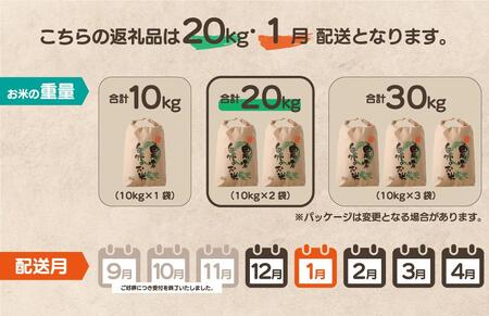 【先行予約】令和7年産 鏡野町産 きぬむすめ 精米20kg（10kg×2袋）［2026年1月発送］【035-a005-01】