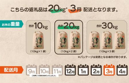【先行予約】令和7年産 鏡野町産 きぬむすめ 精米20kg（10kg×2袋）［2026年3月発送］【035-a005-03】