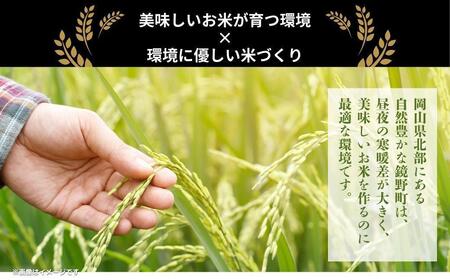 【先行予約】令和7年産 鏡野町産 きぬむすめ 精米20kg（10kg×2袋）［2026年4月発送］【035-a005-04】