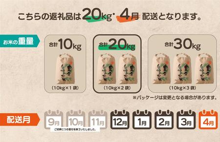 【先行予約】令和7年産 鏡野町産 きぬむすめ 精米20kg（10kg×2袋）［2026年4月発送］【035-a005-04】