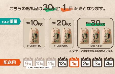 【先行予約】令和7年産 鏡野町産 きぬむすめ 精米30kg（10kg×3袋）［2026年1月発送］【035-a006-01】