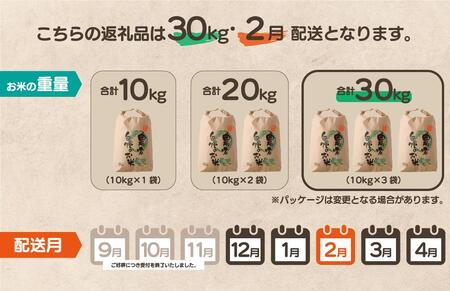 【先行予約】令和7年産 鏡野町産 きぬむすめ 精米30kg（10kg×3袋）［2026年2月発送］【035-a006-02】