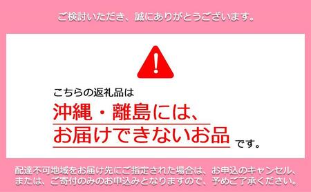 鏡野町産 朝採れ!旬の完熟いちご 300g×2パック<2026年1月~3月発送>【038-a003】