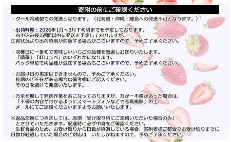 鏡野町産 朝採れ!旬の完熟いちご 300g×4パック<2026年1月~3月発送>【038-a004】