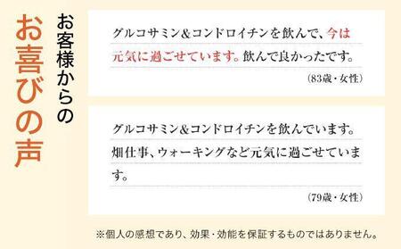 <定期便全6回>グルコサミン&コンドロイチン(28313)【006-a106】