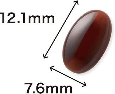 Ｚｎ立Ｂｅｅ（33353）【006-a094】