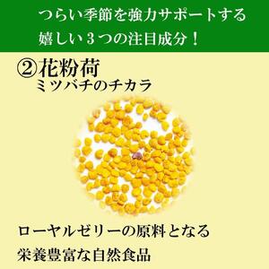 花粉ケアＥＸ（11177）【006-a091】