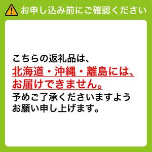 ＜2025年12月発送＞【ギフト】岡山県産 冬のシャインマスカット 1房 600g以上 [025-a032]