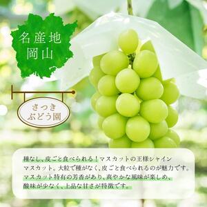＜2025年12月発送＞【ギフト】岡山県産 冬のシャインマスカット 2房 １kg以上 [025-a033]