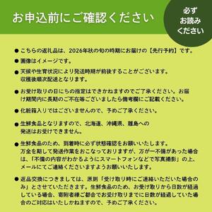 【2026年発送分 先行予約】岡山県産 シャインマスカット 600g以上(1房)【ご家庭用】【025-a034】